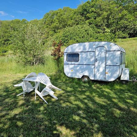 Camping La Foret Du Morvan Vintage Caravan Larochemillay Esterno foto