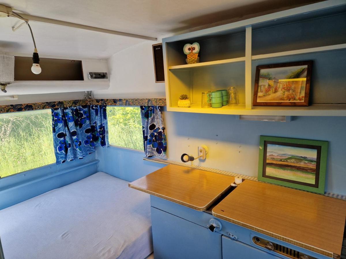 Camping La Foret Du Morvan Vintage Caravan Larochemillay Esterno foto