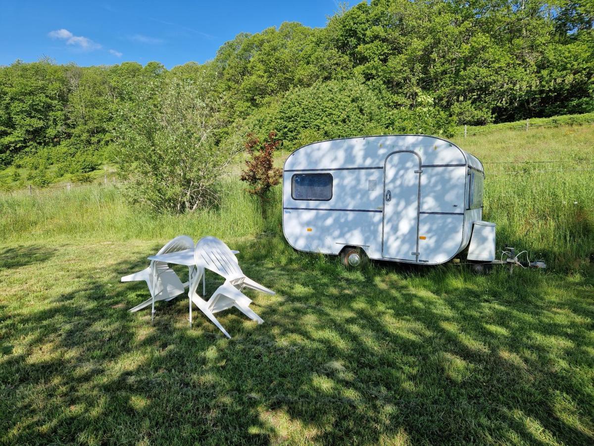 Camping La Foret Du Morvan Vintage Caravan Larochemillay Esterno foto